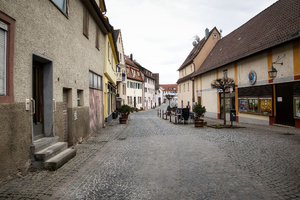 Traitement punaises de lit Schiltigheim