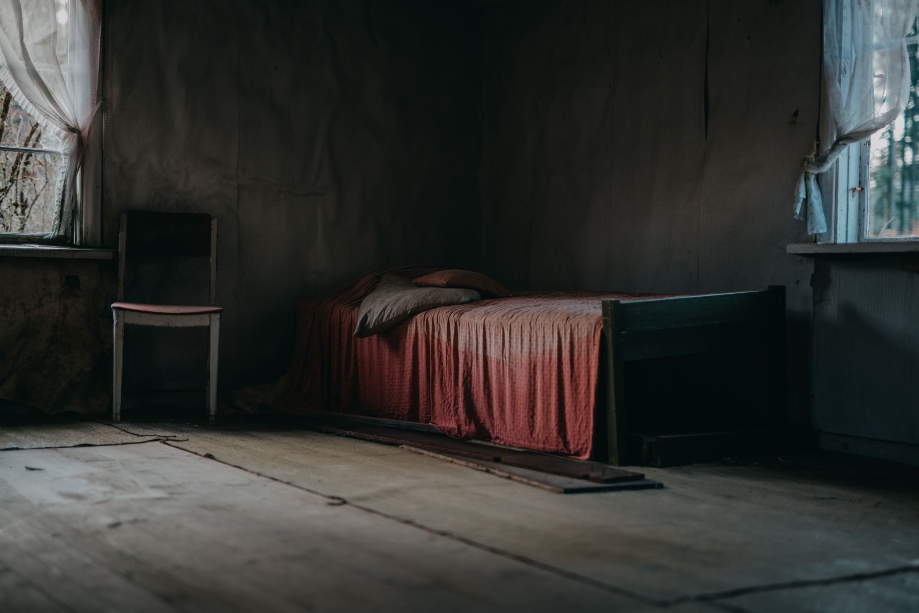Traitement punaises de lit à Schiltigheim